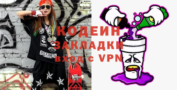 крисы Няндома