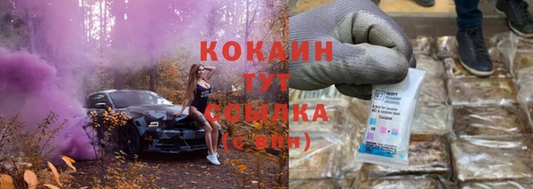 крисы Няндома