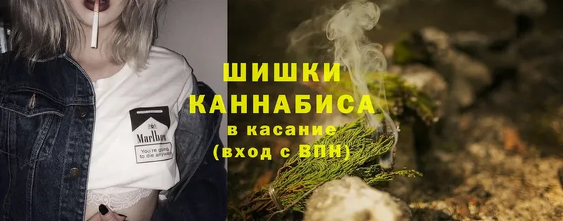 Конопля OG Kush  наркошоп  Колпашево 